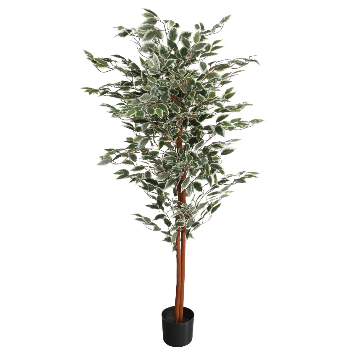 Leaf 160cm Artificial Ficus Potted Plant with Variegated Leaves