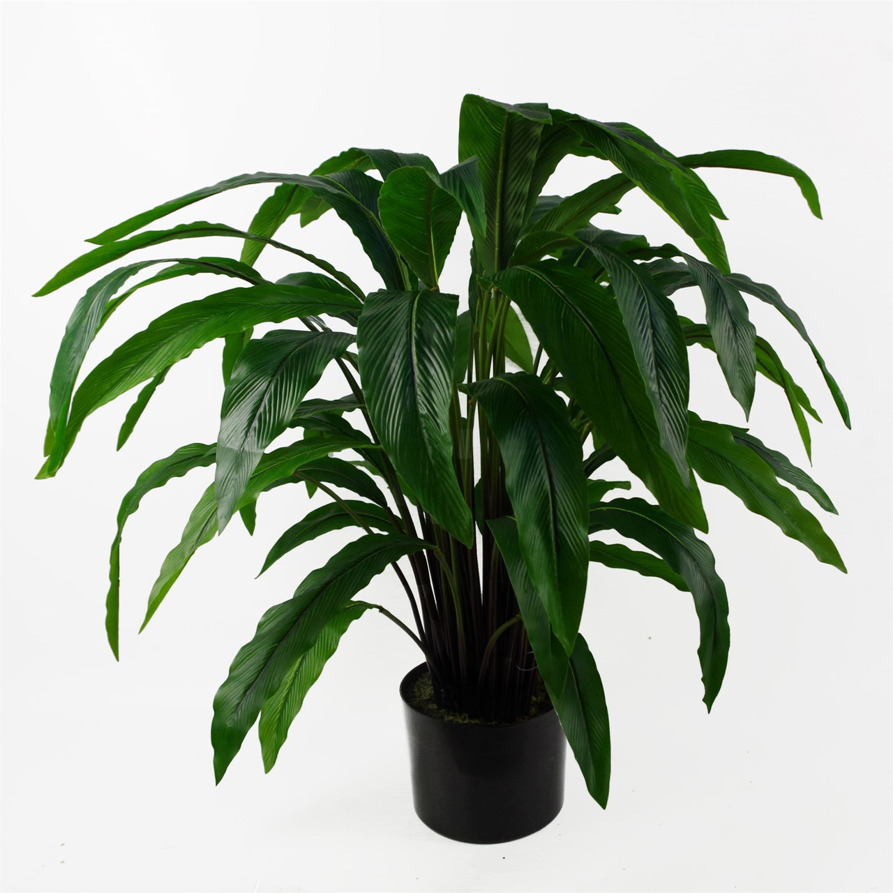 60cm Realistic Artificial Calathea Plant Full and Bushy Replica