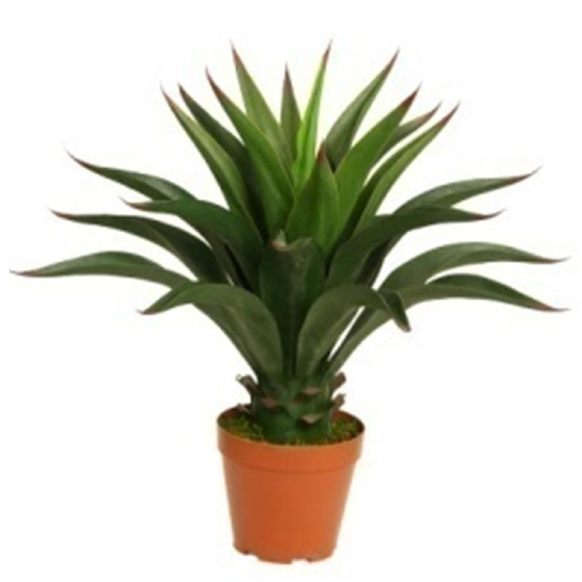 60cm Artificial Yucca Plant in Black Plastic Pot