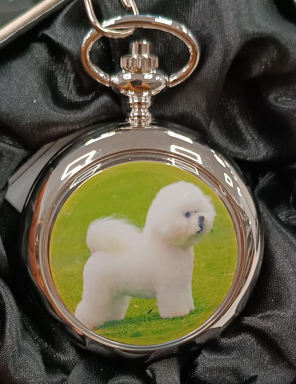 Boxx Picture Pocket Watch