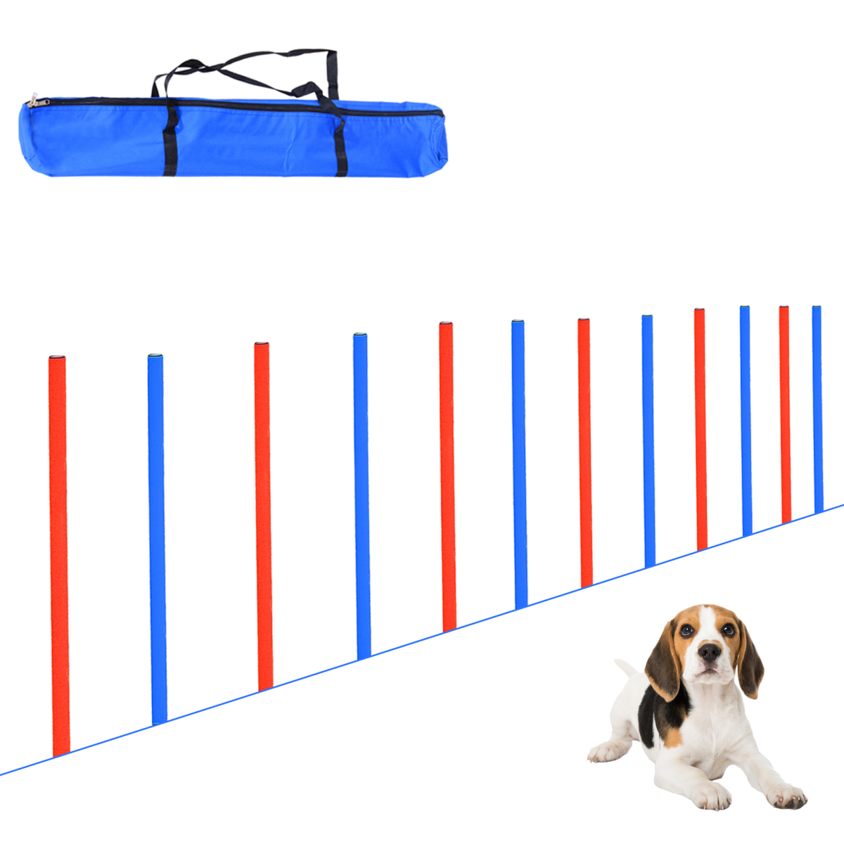 Pet Agility Training Set with Hoop Poles, Tunnel, Ground Stakes, Rope and Carrying Bag