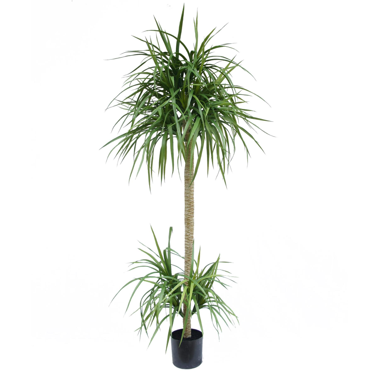 Leaf 180cm Realistic Artificial Dracaena Plant in Black Pot