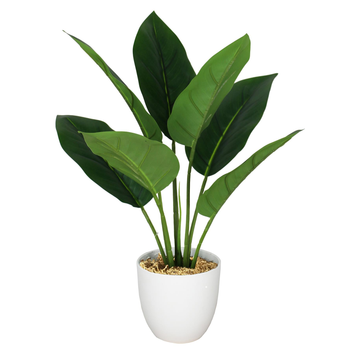 Leaf 45cm Artificial Aureum Plant in Pot