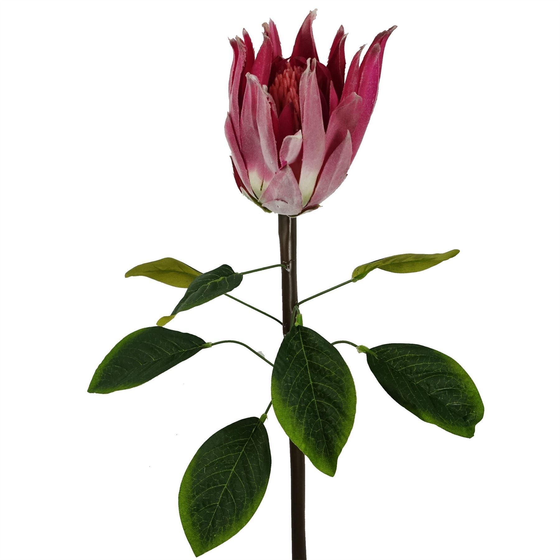 65cm Artificial Pink Protea Sugarbush Flower Stem with Silk Leaves