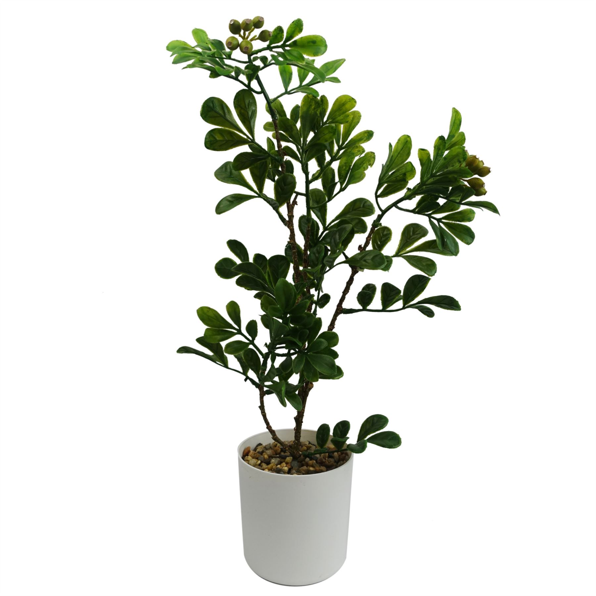 Leaf 45cm Artificial Aglaia Odorata Bonsai Ficus Tree in Plastic Pot