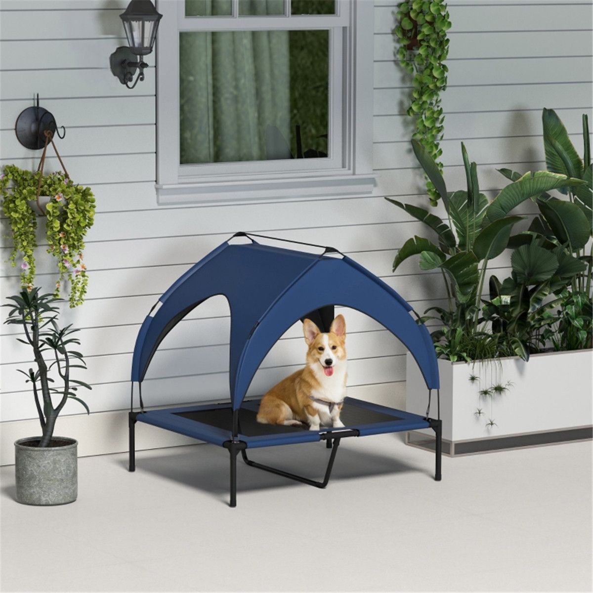 Elevated Water-Resistant Pet Bed with Canopy for Medium and Large Dogs