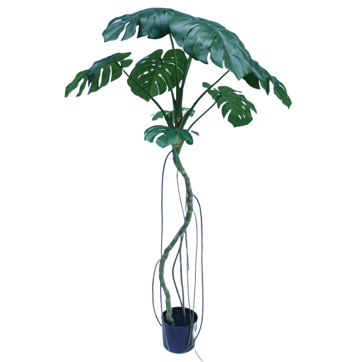 180cm Lifelike Green Monstera Artificial Tree in Black Plastic Pot