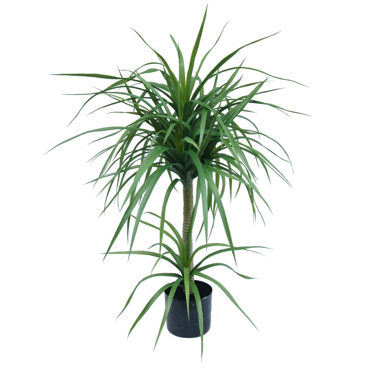 Leaf 90cm Artificial Dracaena Plant in Black Plastic Pot
