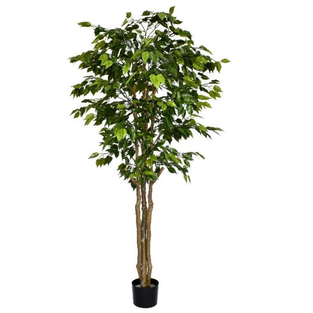 Leaf 180cm Fire Retardant Deluxe Retusa Ficus Tree with 1134 Leaves and Plastic Trunk