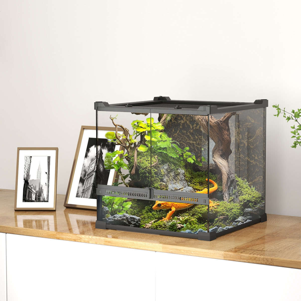 Black Tempered Glass Reptile Terrarium with Ventilated Top, Waterproof Base, Locking Front Door, 24L