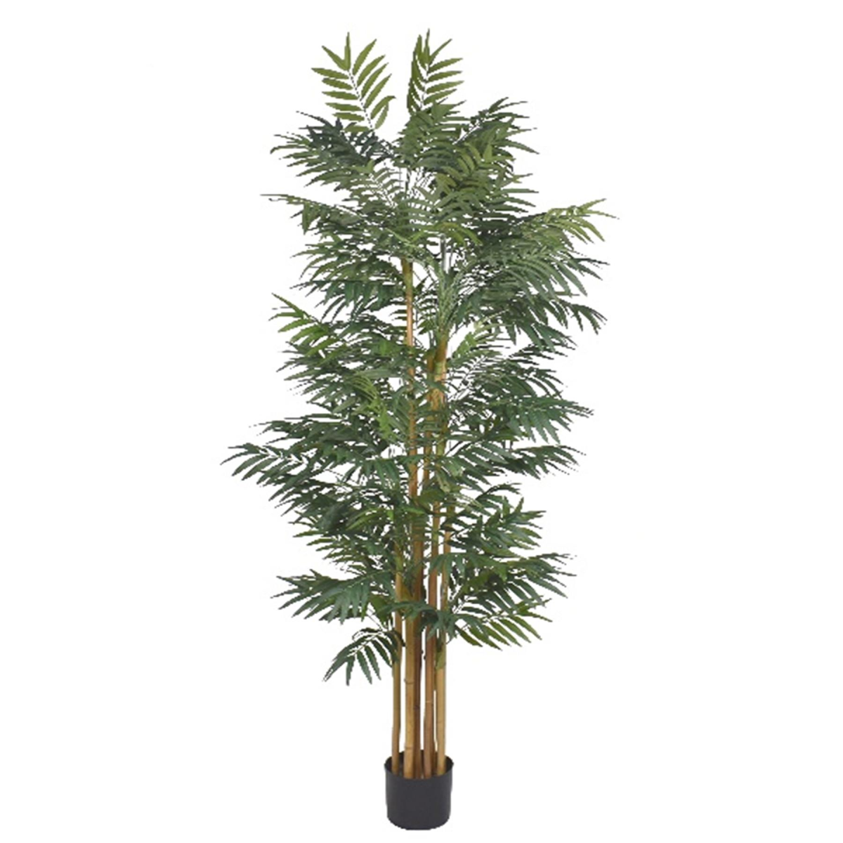 Leaf 210cm Fire Retardant Phoenix Palm Tree with Natural Trunk