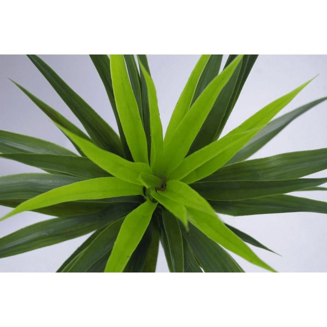 90cm Artificial Yukka Plant, Realistic Spiky Tree in Weighted Plastic Pot