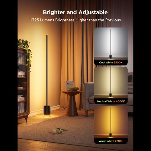 GOVEE BLACK FLOOR LAMP SUPPORT MATTER