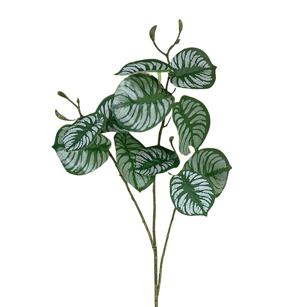 6 Pack 70cm Artificial Zebra Foliage with Wired Stem