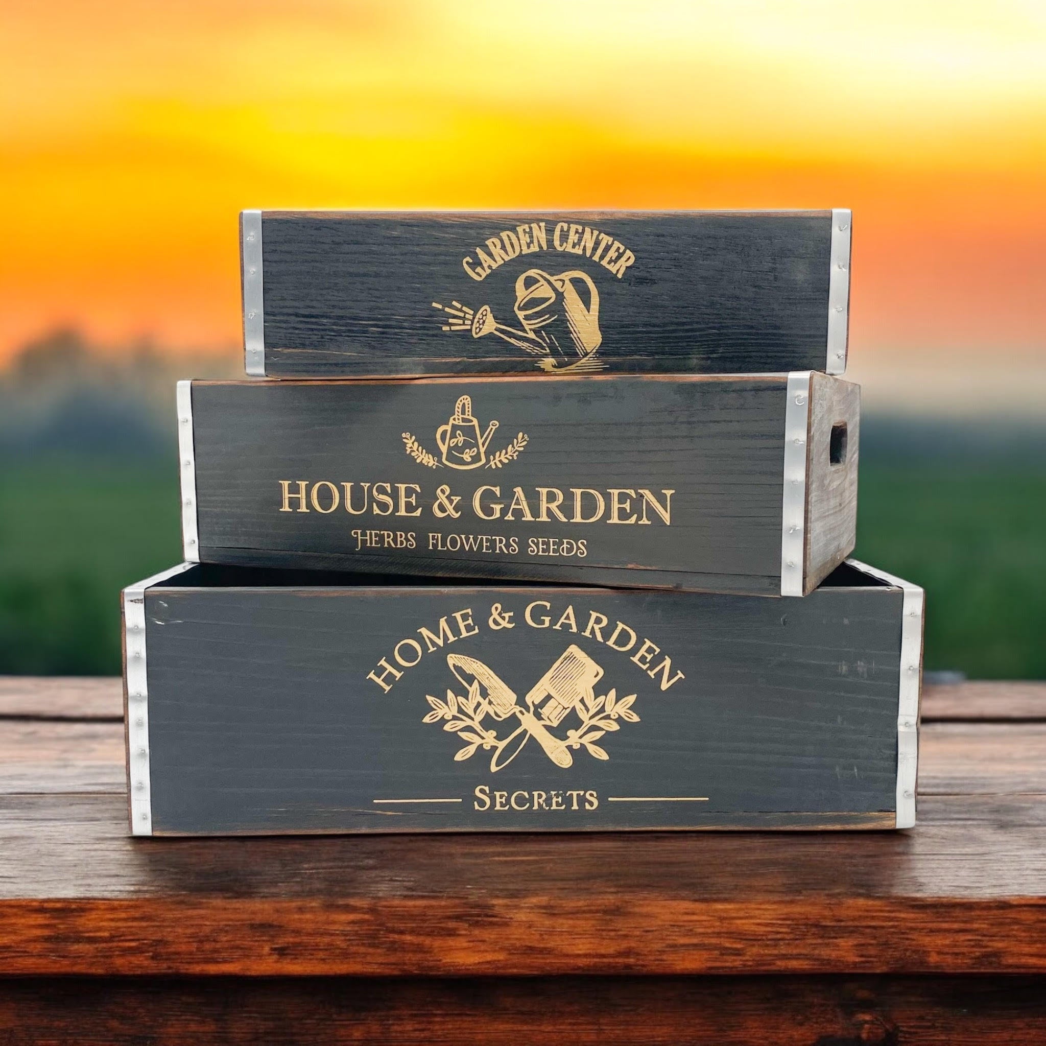 MSL Set of 3 Black Wooden Trays
