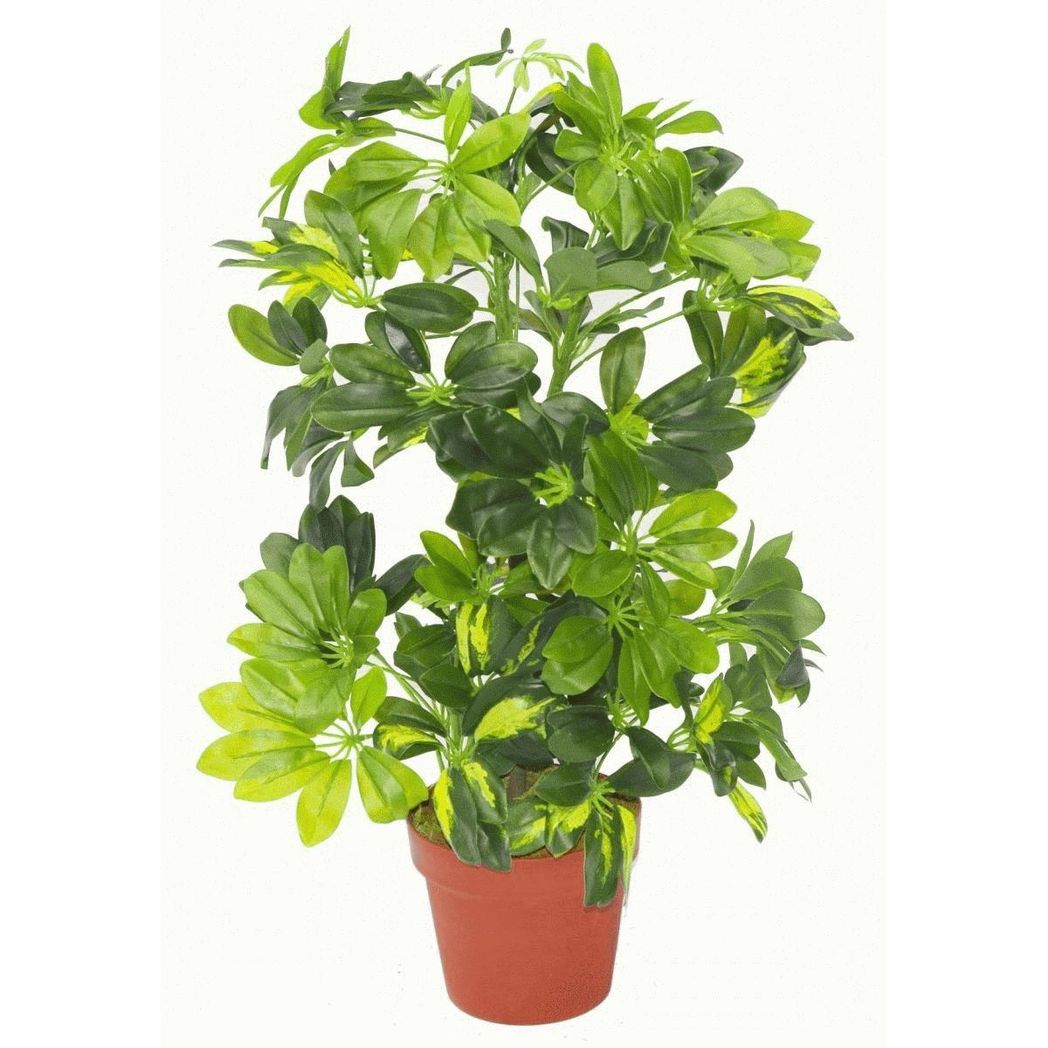Leaf 75cm Artificial Arboricola Gold Capella Plant with Metal Planter