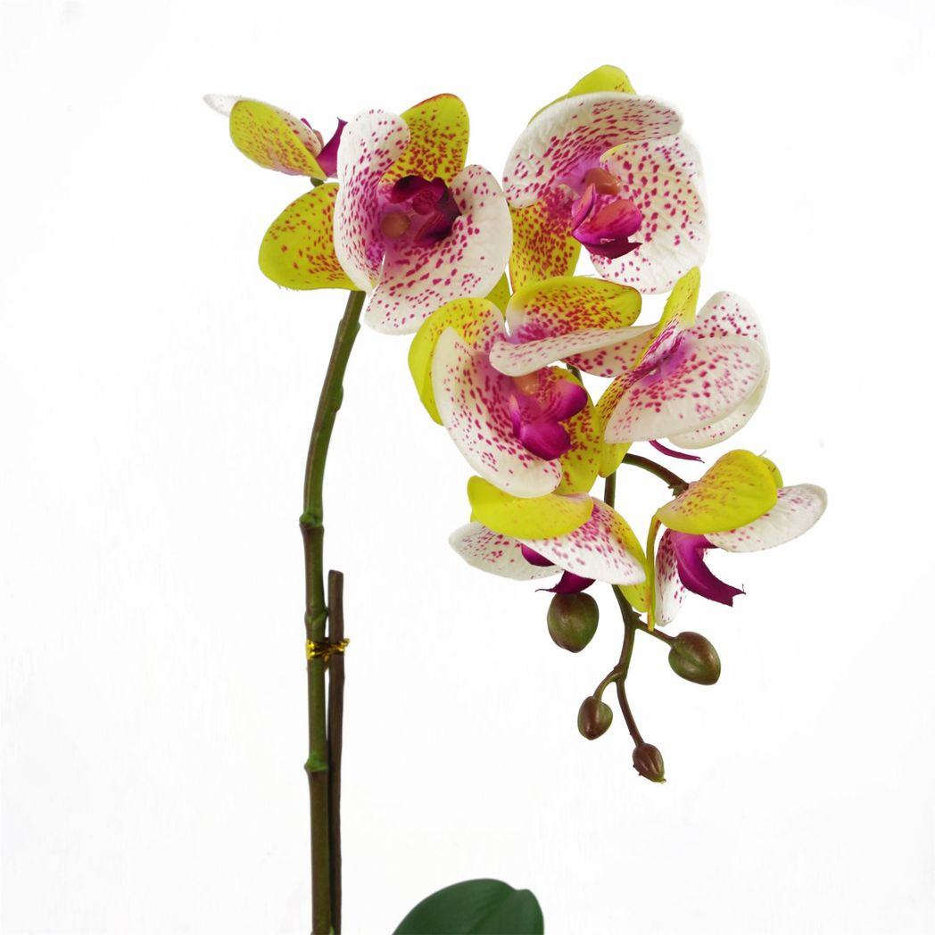 Leaf 46cm Artificial Harlequin Pink Orchid with 7 Real Touch Flowers in Decorative Plastic Pot