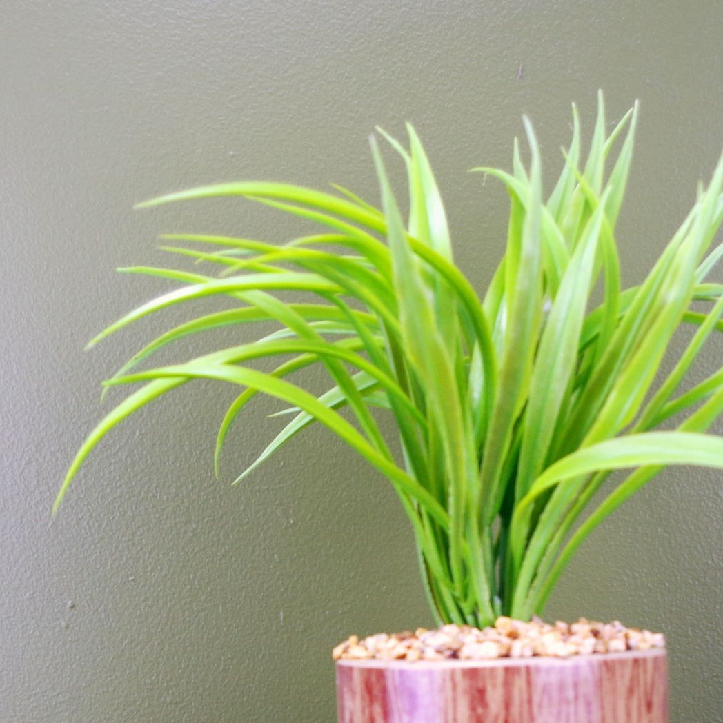 Leaf 35cm Artificial Grass Plant in Contemporary Ceramic Planter with Metal Stand