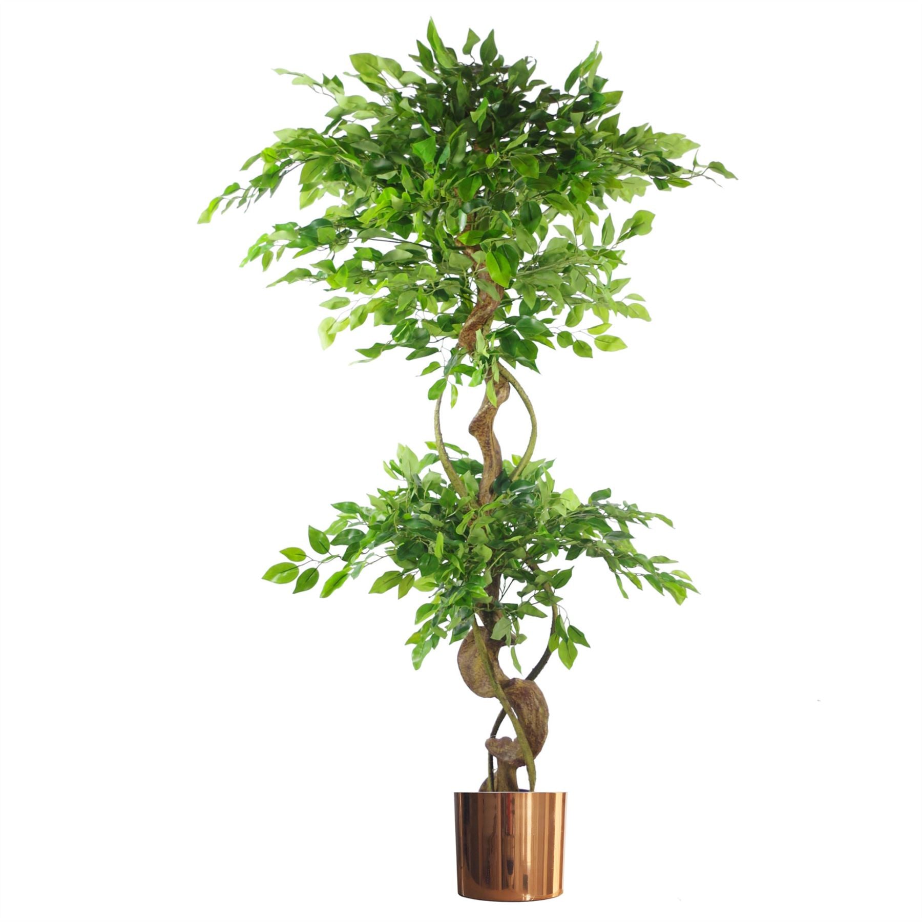 150cm Twisted Trunk Artificial Japanese Fruticosa Ficus Tree with Copper Planter