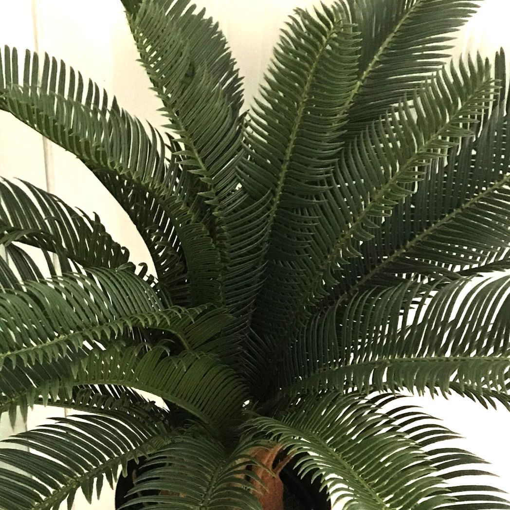 Leaf 70cm Artificial Tropical Cycas Palm Plant in Black Plastic Pot