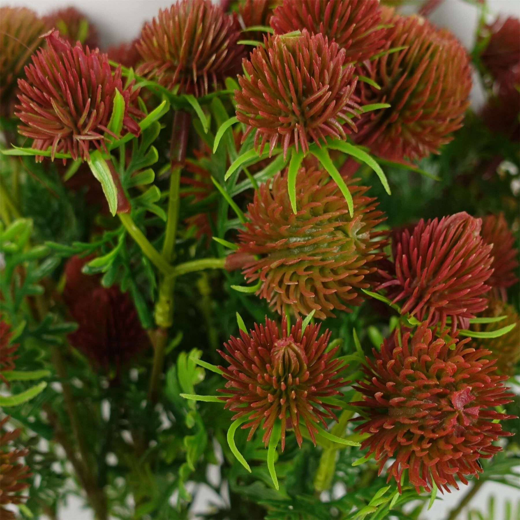 Pack of 6 Red Artificial Craspedia Stems 55cm Wired Shapable