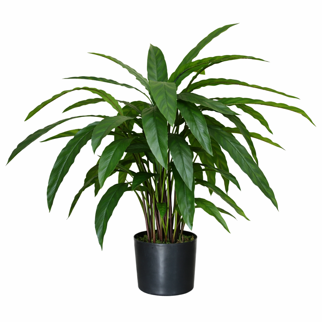 60cm Artificial Calathea Plant Full Bushy Realistic Replica
