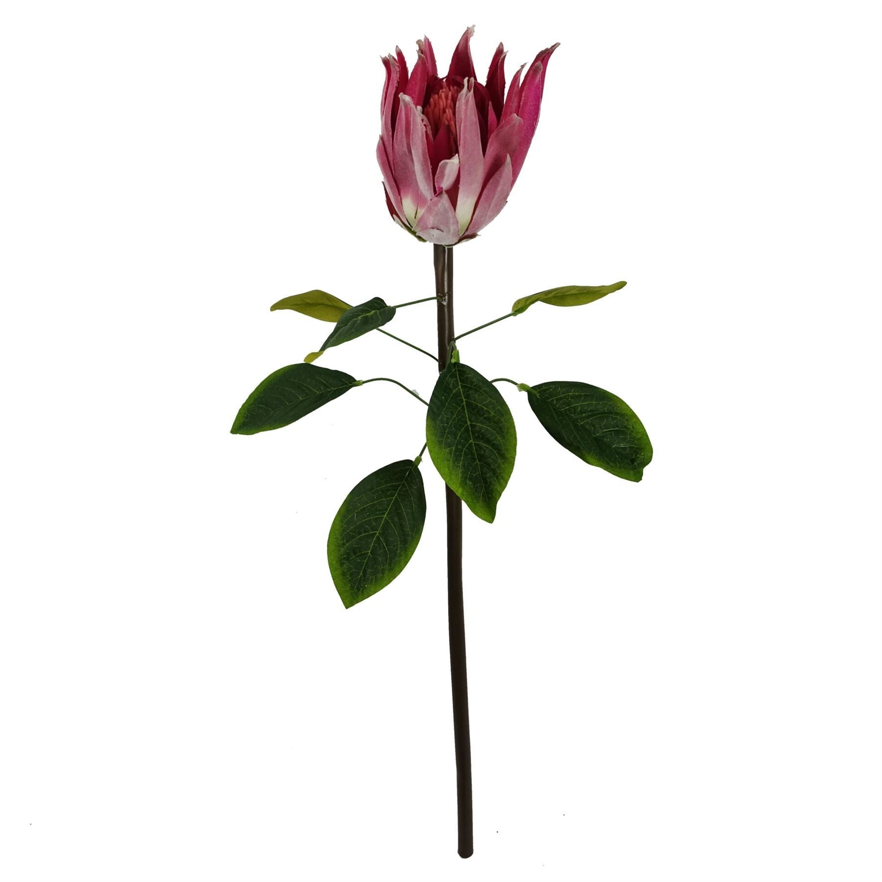 Pack of 6 65cm Artificial Protea Sugarbush Flower Stems, Pink