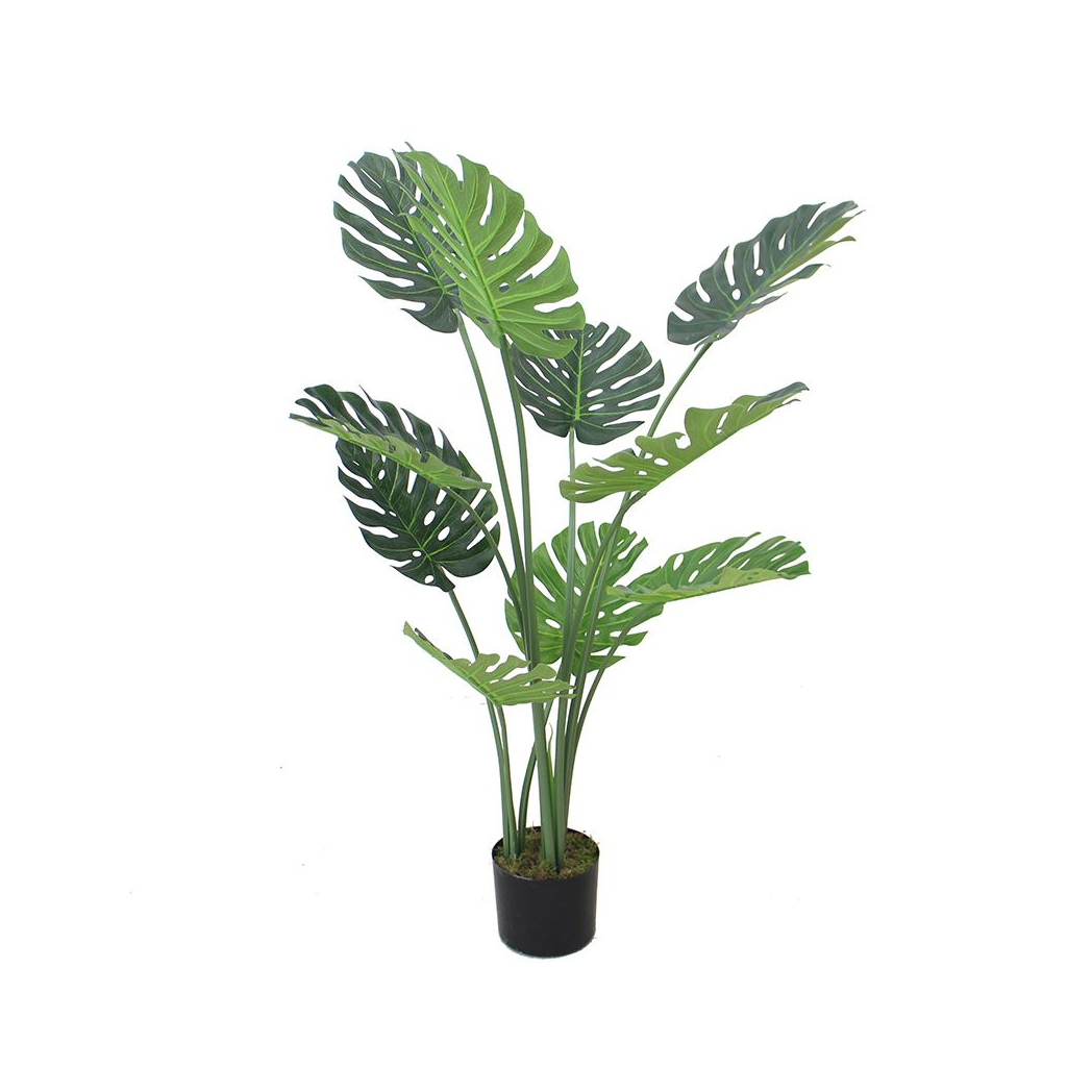 Leaf 120cm (4ft) Luxury Monstera Plant in Black Plastic Pot