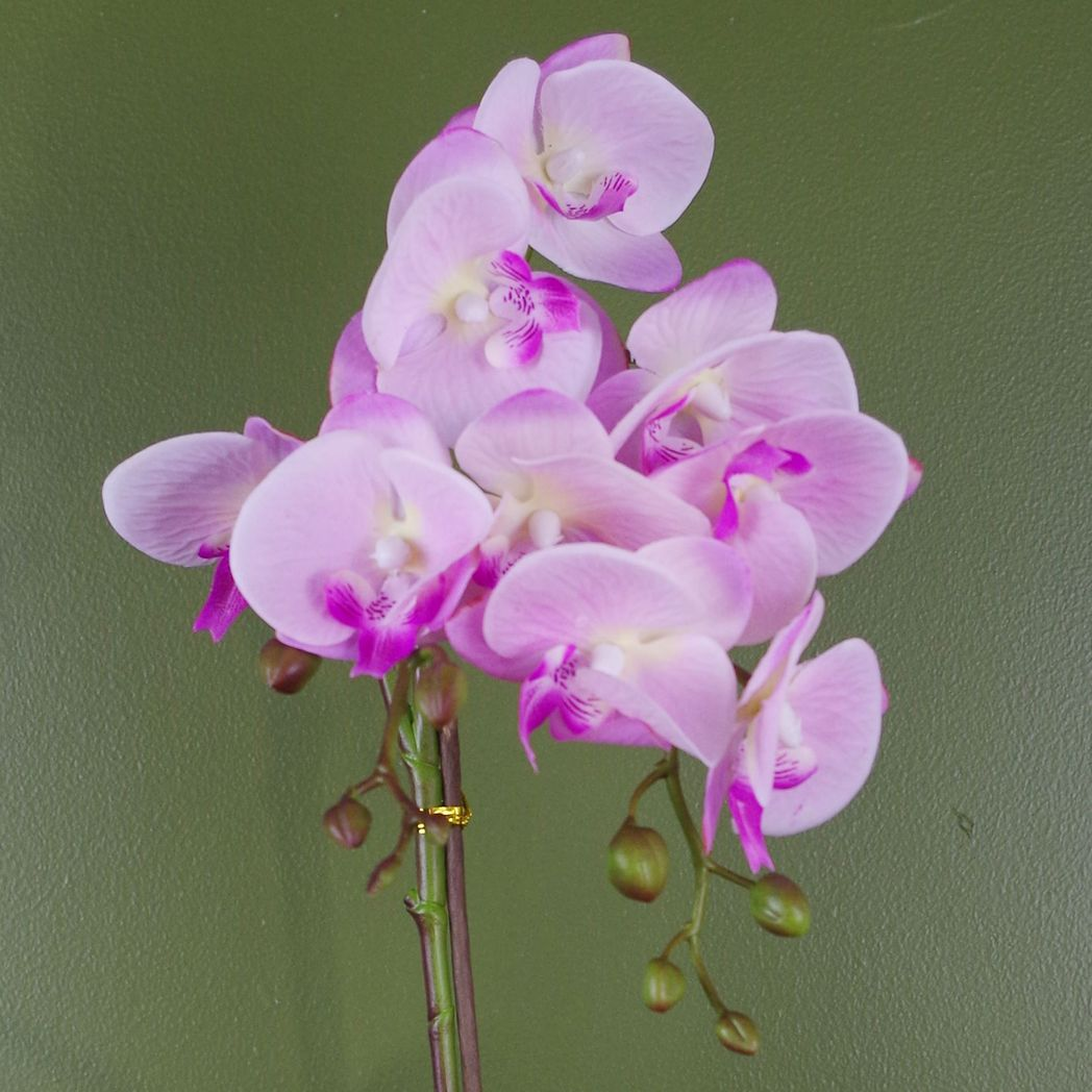 Leaf 50cm Artificial Phalaenopsis Orchid, Light Pink, Silver Decorative Pot, Real Touch Flowers and Leaves
