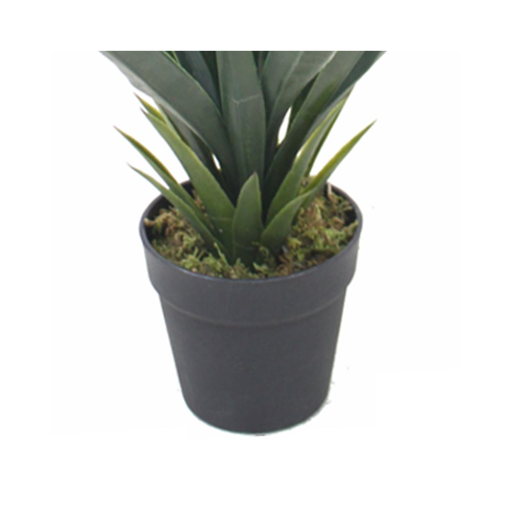 Leaf 60cm Artificial Agave Plant in Black Plastic Pot