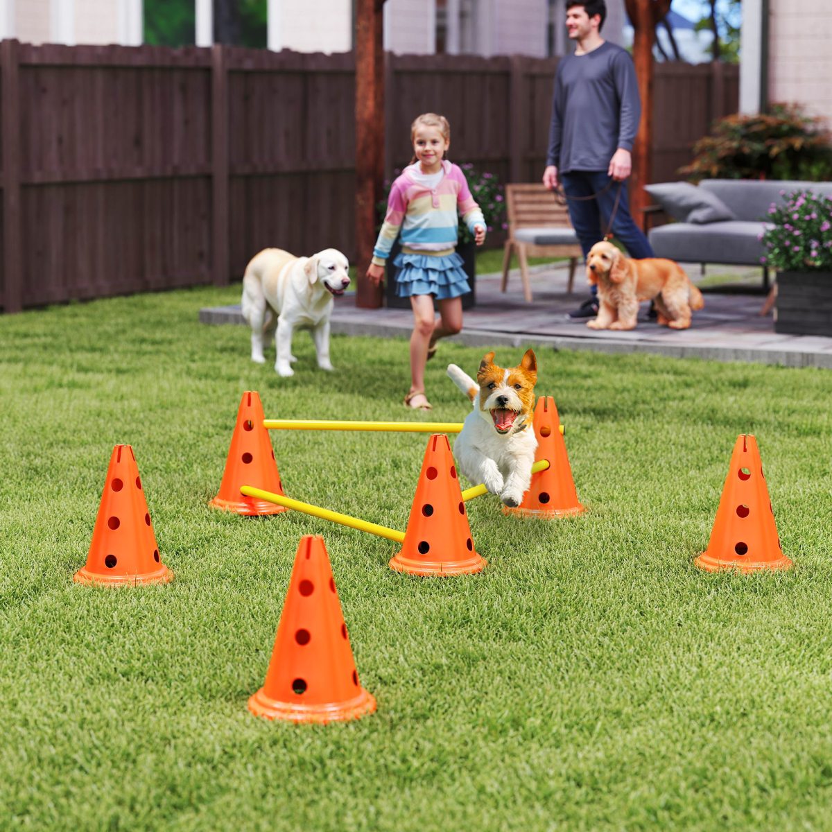 PawHut 3-Piece Adjustable Dog Agility Jump Set Training Obstacles