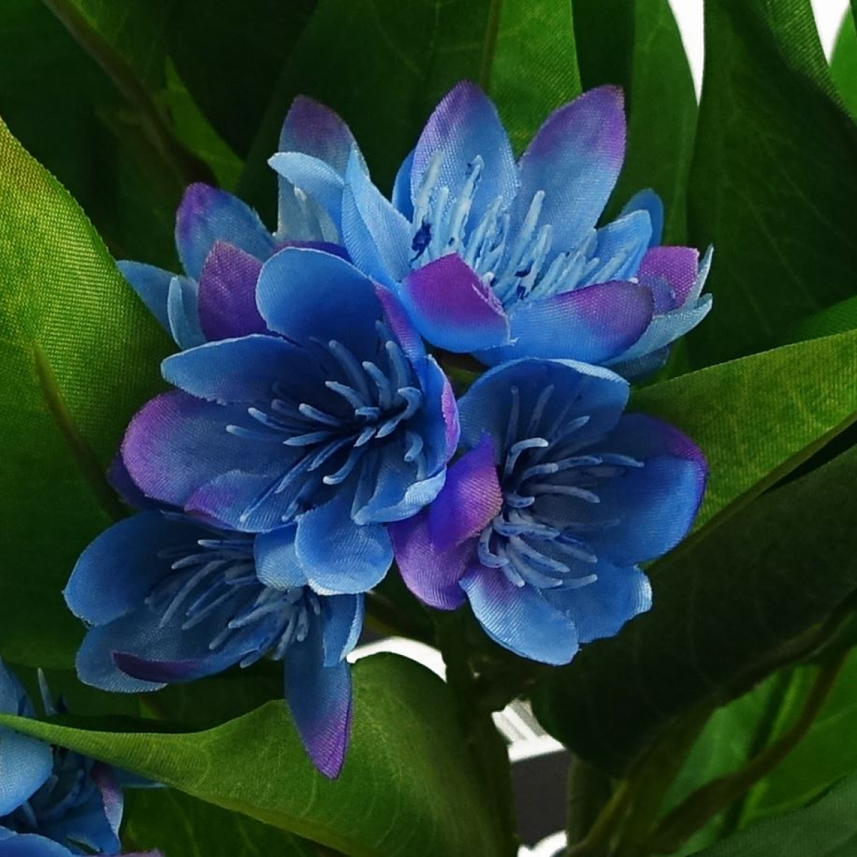 Leaf Pack of 3 Artificial Freesia Plants, Pink, Blue and White, 18cm