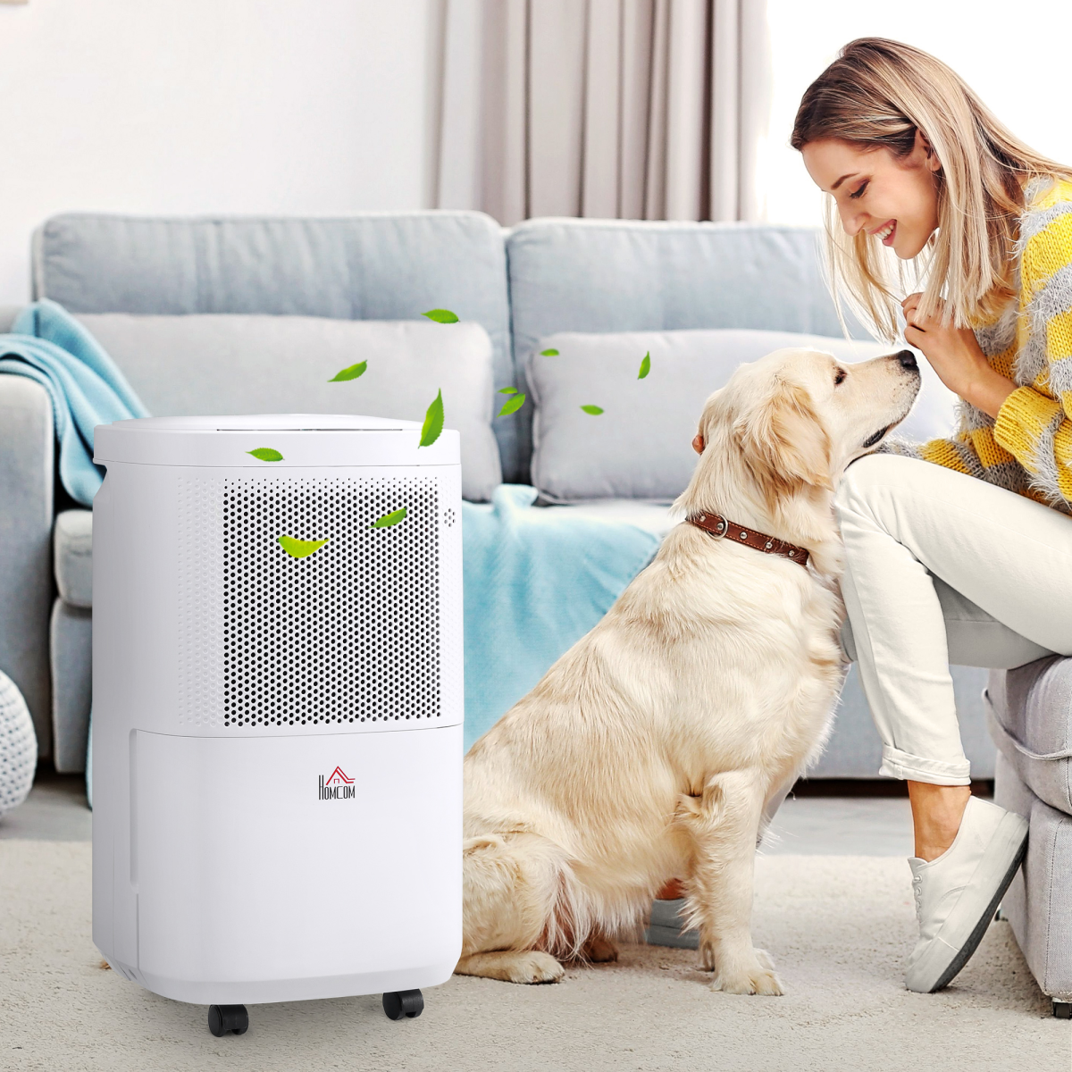 HOMCOM 10L/Day Portable Quiet Dehumidifier, 2.2L Tank, 2 Speeds, 4 Modes, 24H Timer, Home Laundry Room Moisture Removal