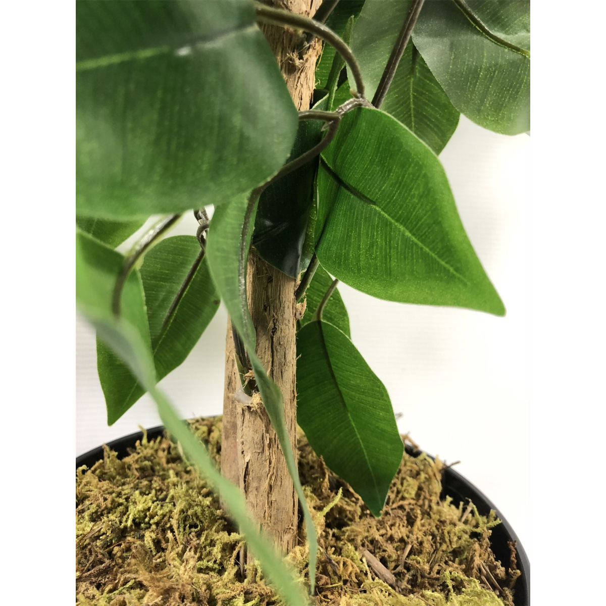 Leaf 120cm Artificial Ficus Tree with Gold Metal Planter