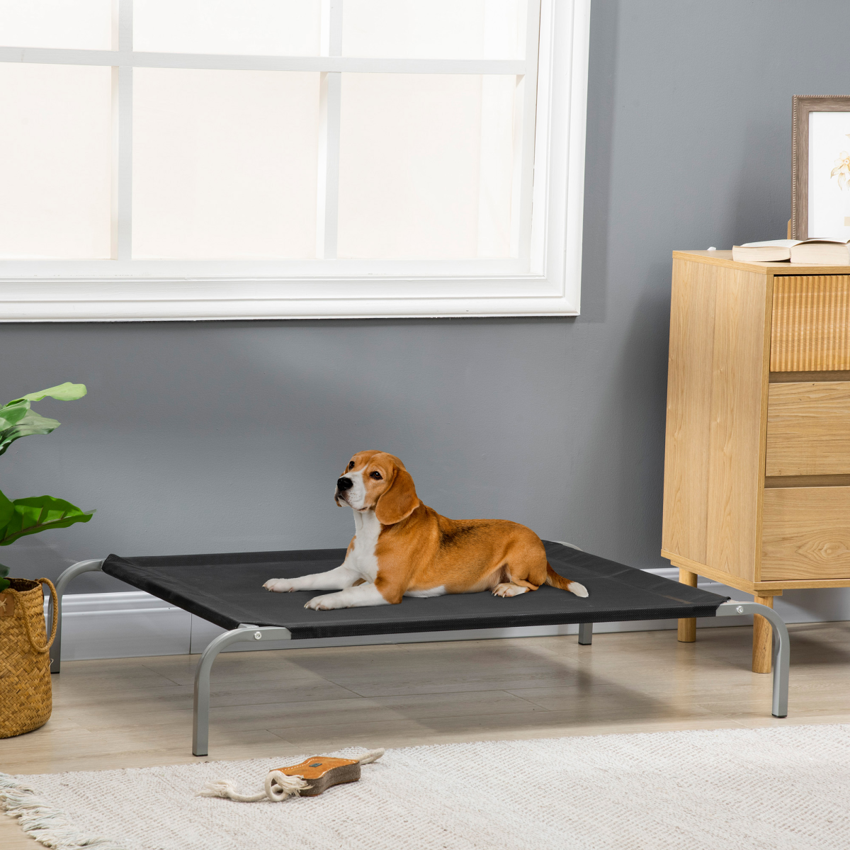 Elevated Cooling Dog Bed for Large Dogs with Non-Slip Pads and Breathable Mesh