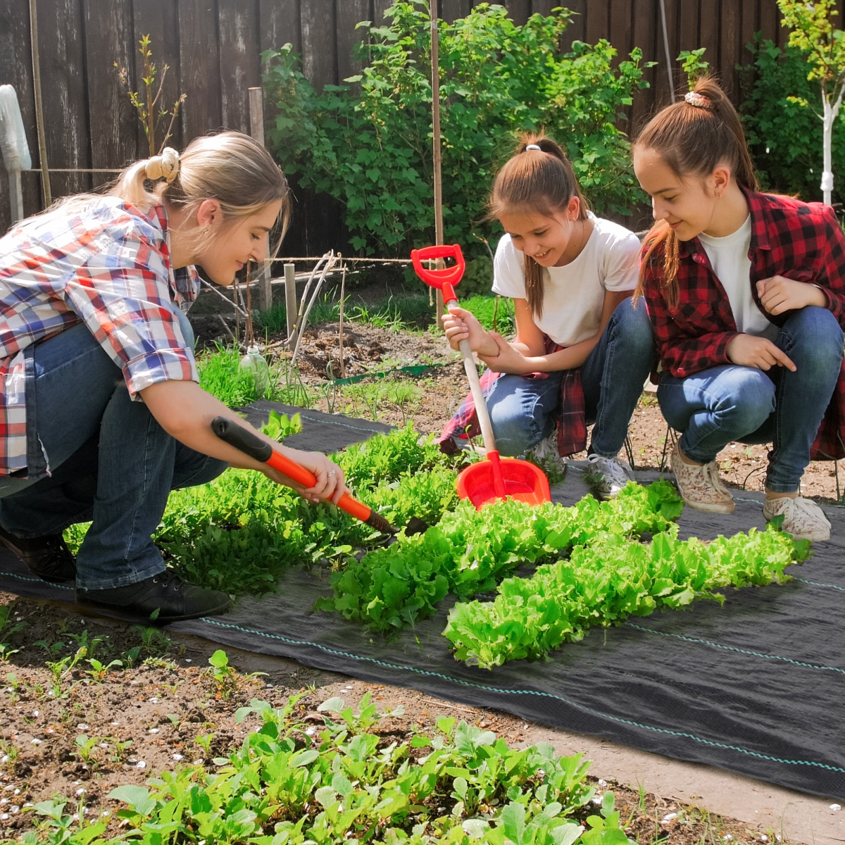 Outsunny Heavy Duty Weed Control Membrane 2 x 100m, Black