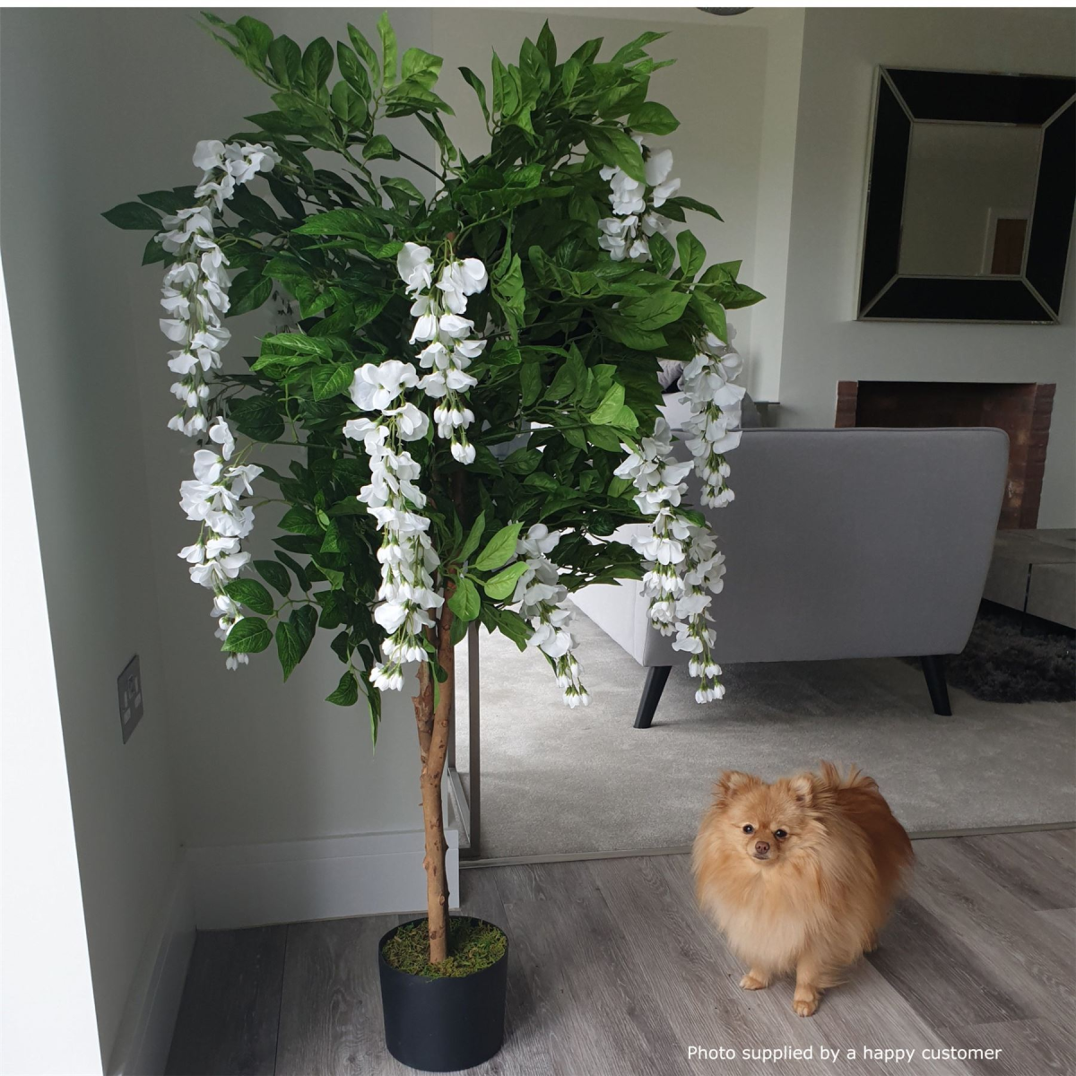 130cm Artificial Wisteria Tree with White Flowers, Premium Range, Real Wood Trunk, Metal Planter