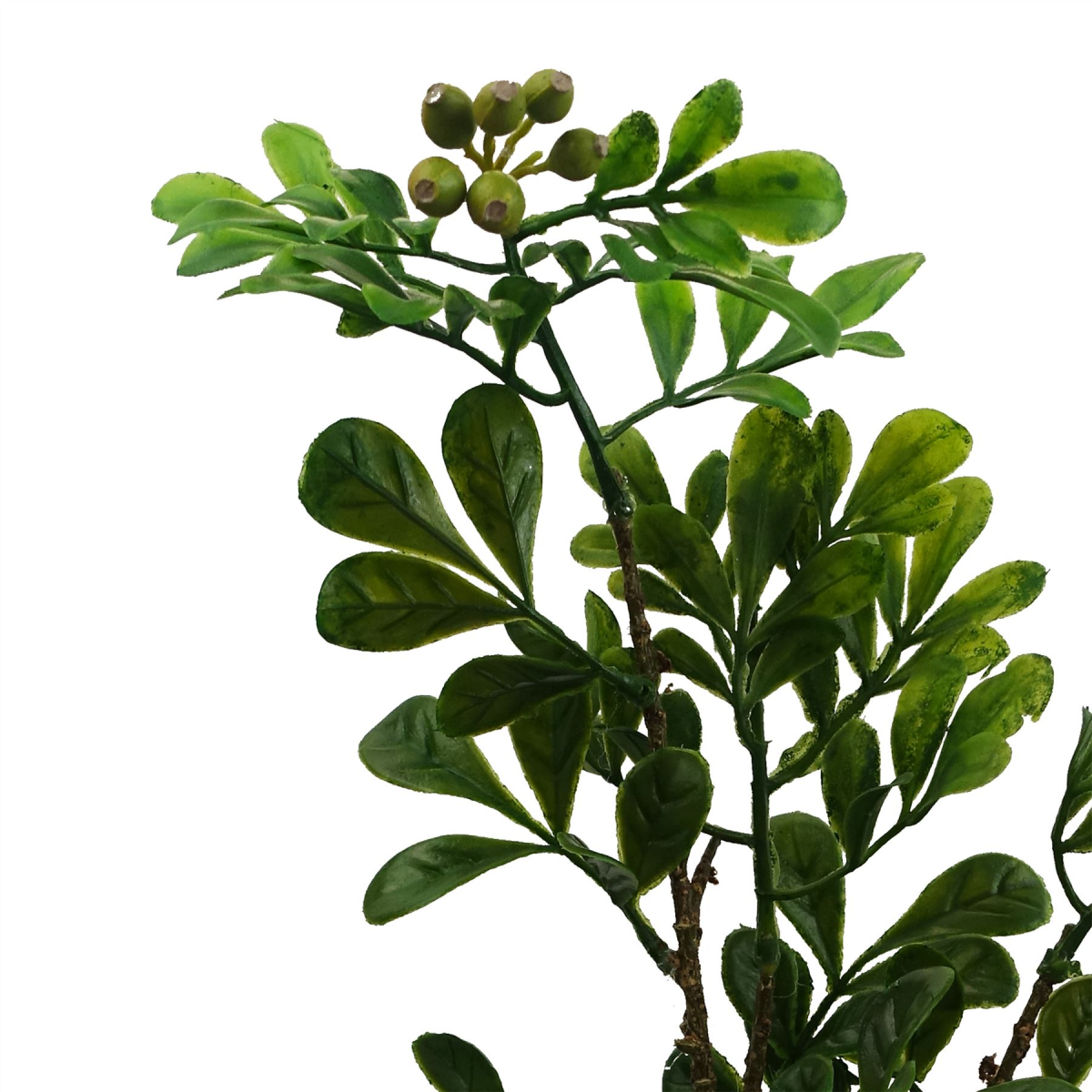 Leaf 45cm Artificial Aglaia Odorata Bonsai Ficus Tree in Plastic Pot