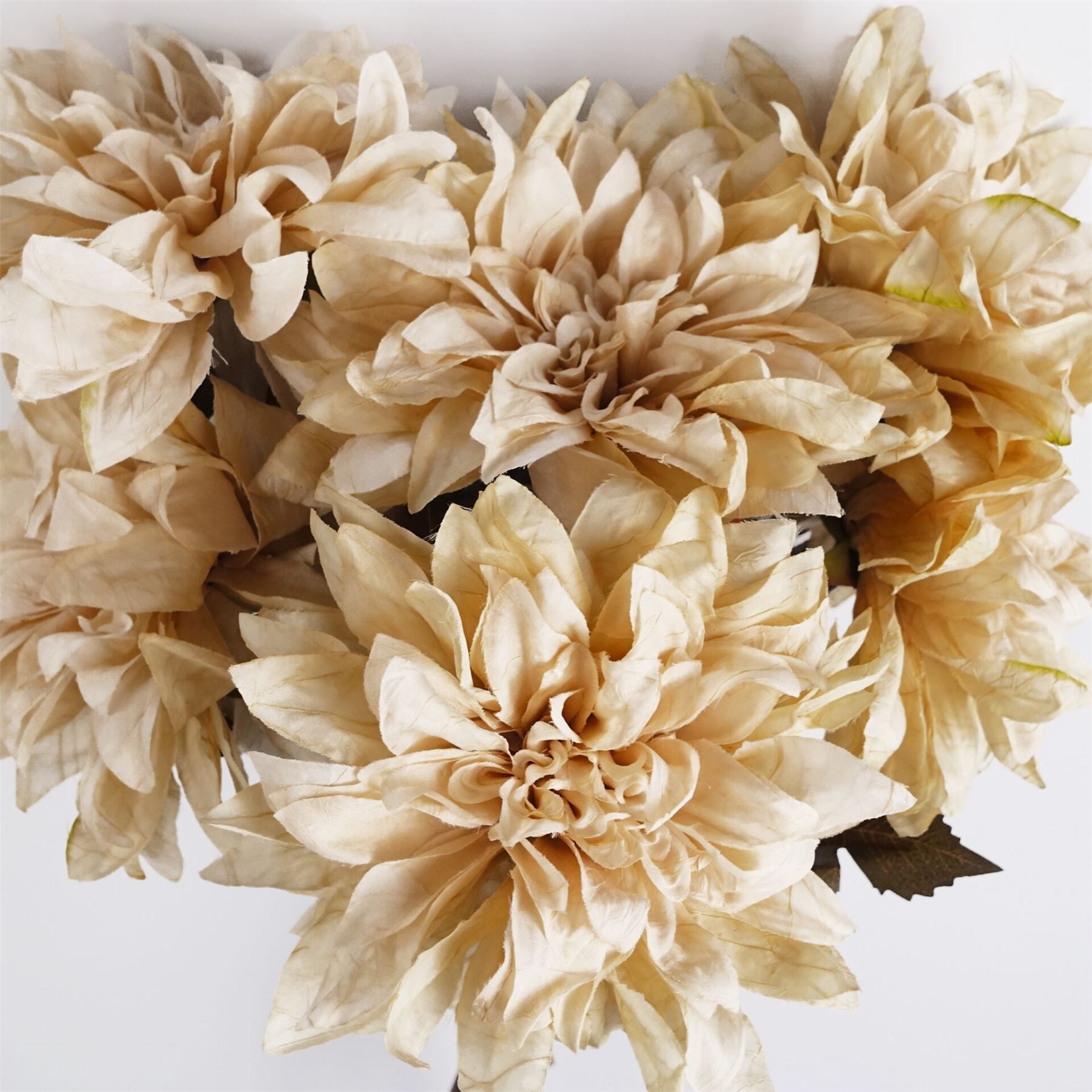 Leaf 55cm Dusty Cream Dahlia Flower Stem