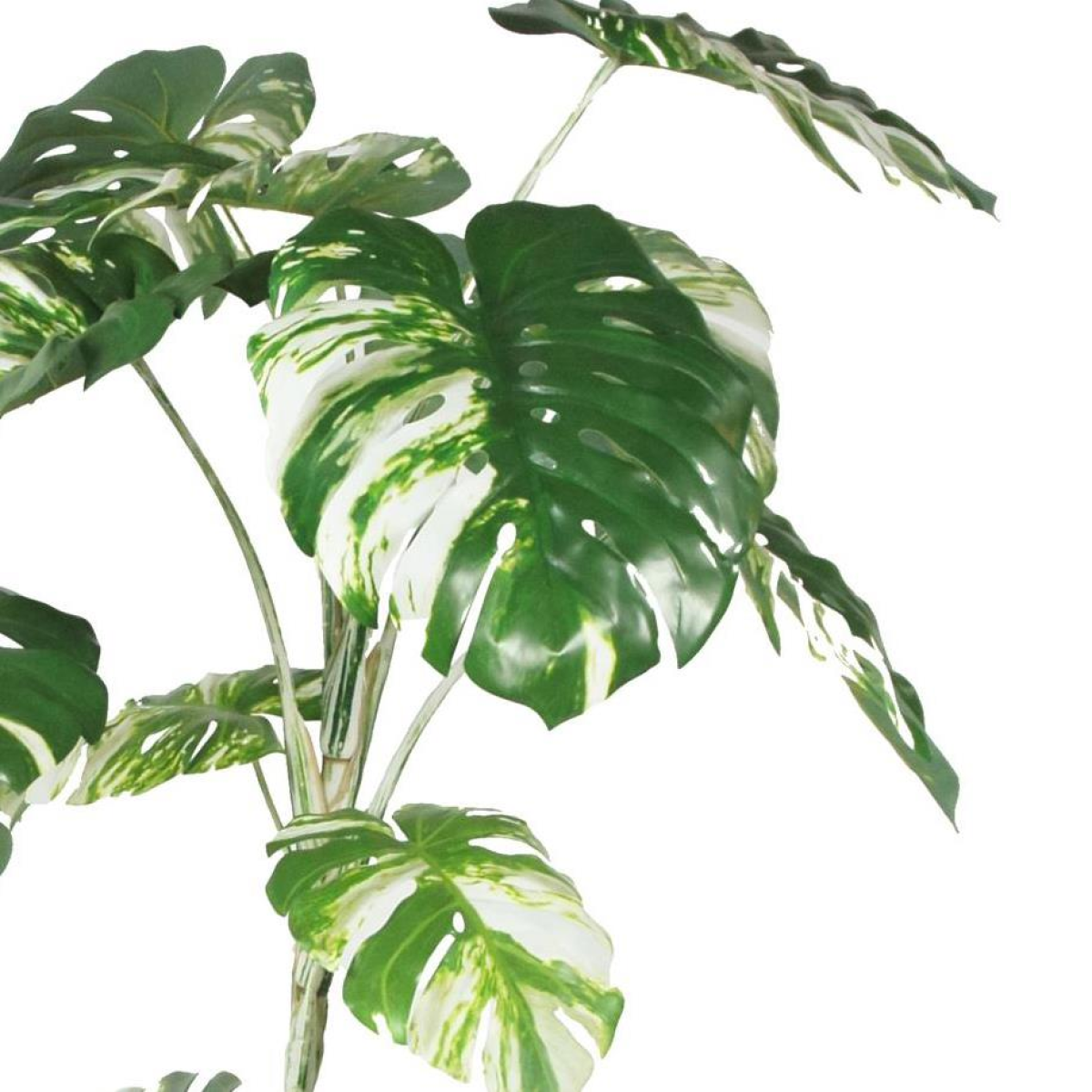 210cm Realistic Variegated Monstera Artificial Tree