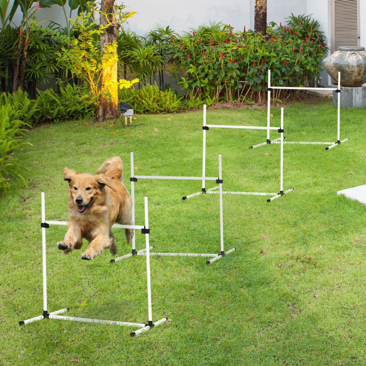 PawHut Free-Standing Adjustable Dog Agility Jump Set with Carry Case