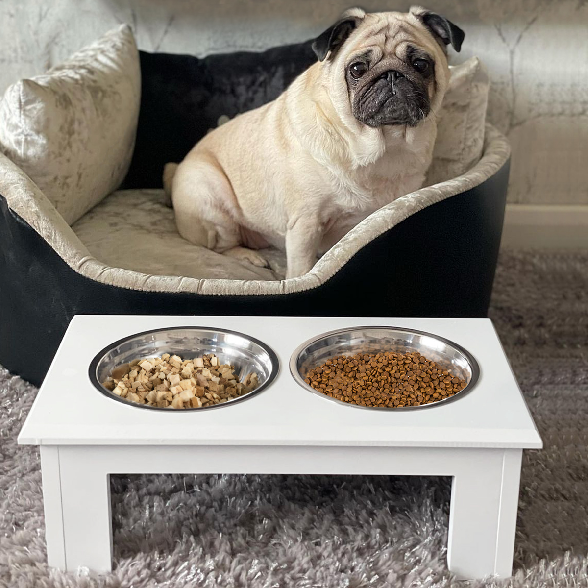 Elevated Pet Feeder Stand with 2 Stainless Steel Bowls, White
