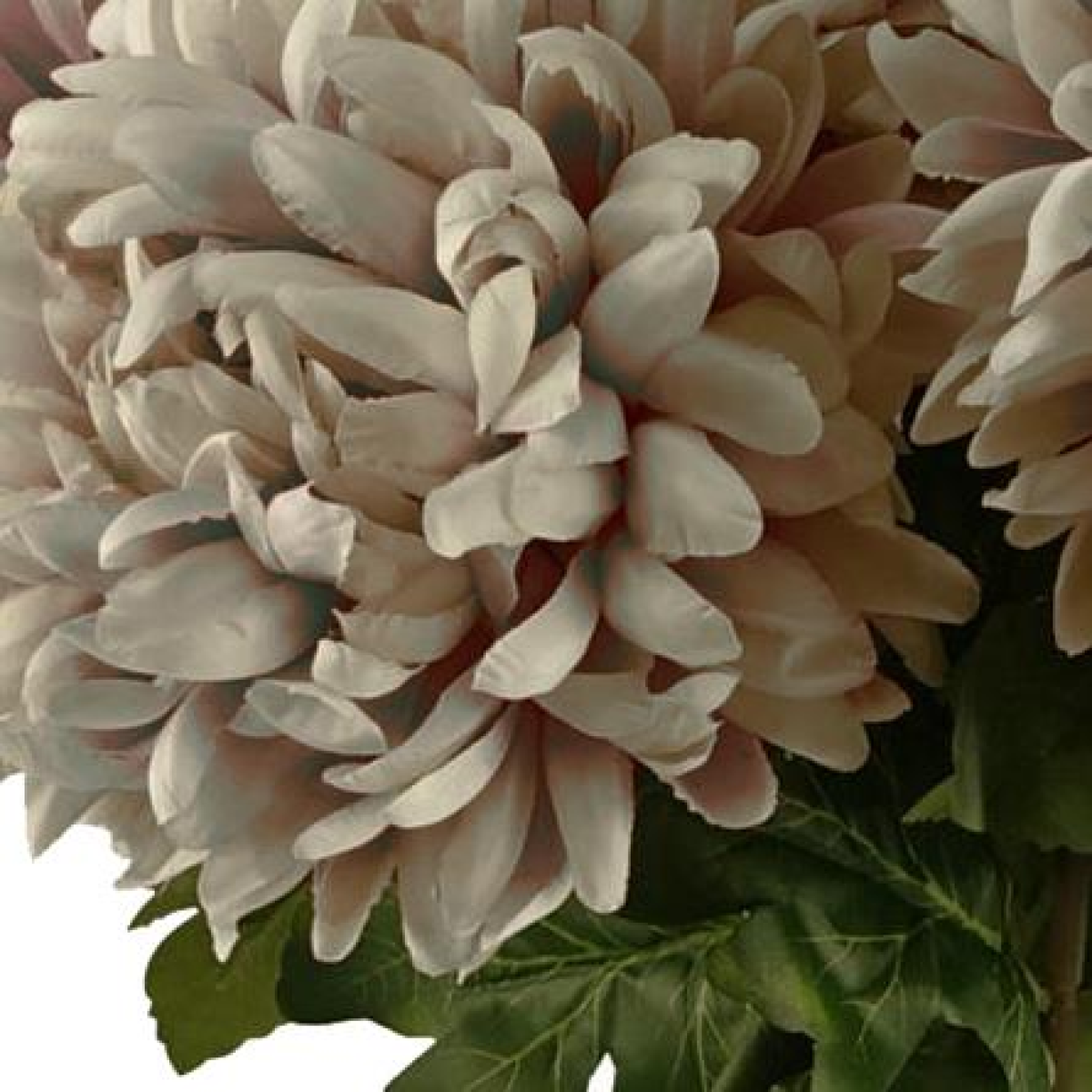 Leaf 75cm Extra Large Mushroom Reflex Chrysanthemum Silk Flower Stem