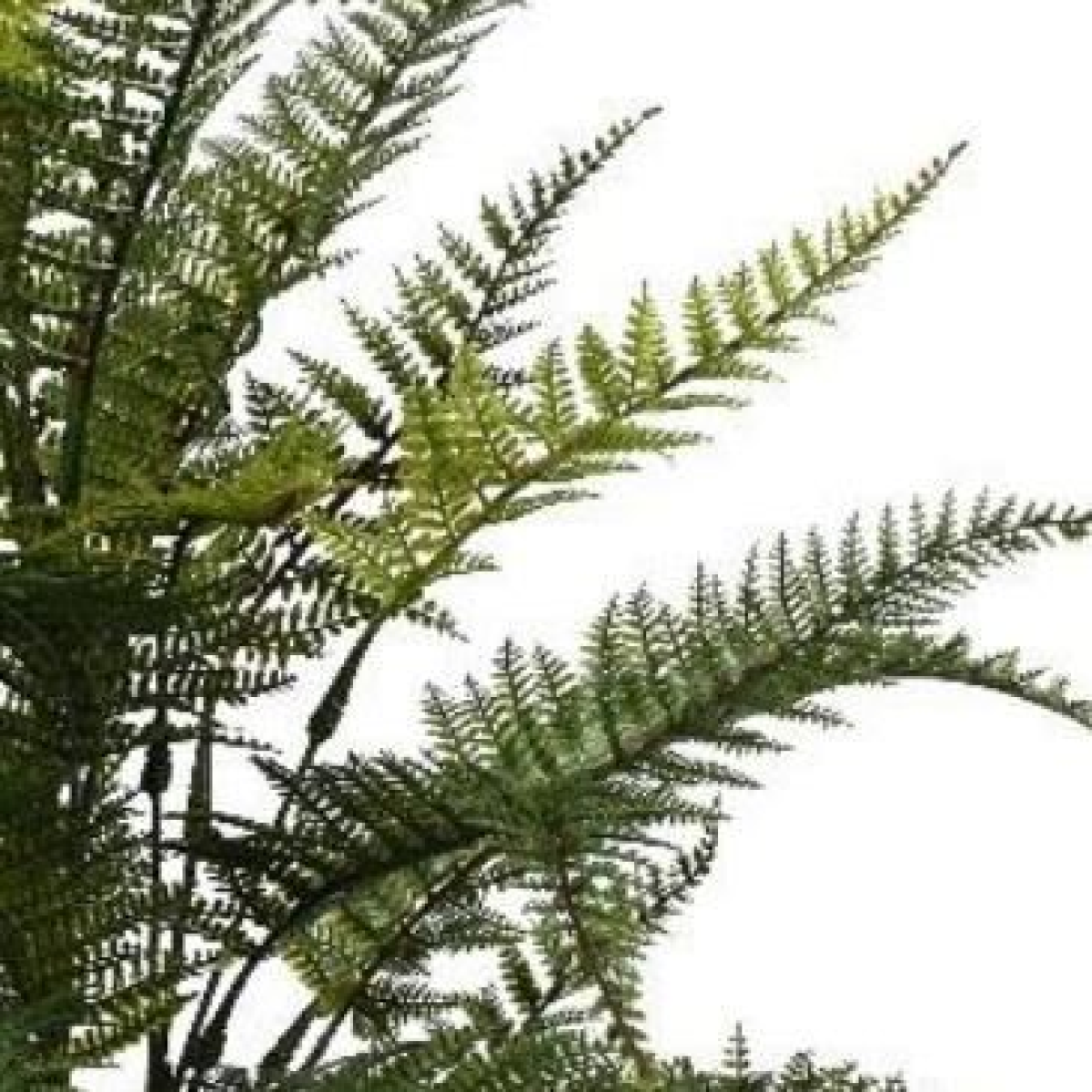 Leaf Pack of 6 78cm Fire Retardant Artificial Fern Foliage Branch Bare Stem