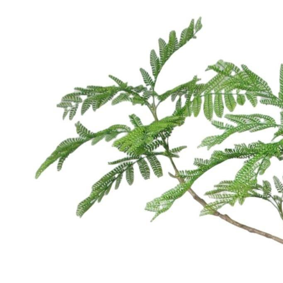 240cm Artificial Jacaranda Tree Realistic Indoor Potted Tree