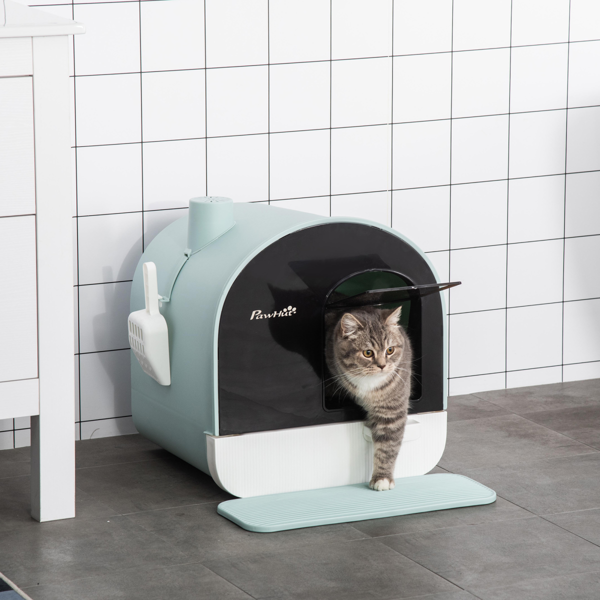Pawhut Hooded Cat Litter Tray with Scoop, Filter and Flap Door for Kittens and Small Cats Under 5kg