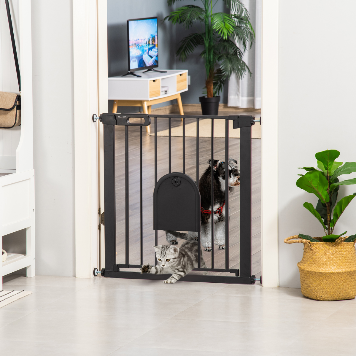 Black Pressure Fit Pet Safety Gate, Auto-Close, Double Lock, 75-82 cm
