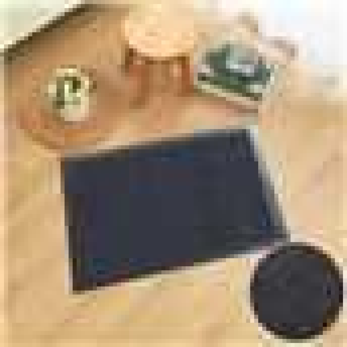 Barrier Dirt Trapping Entrance Mat with Anti-Slip PVC Rubber Backing