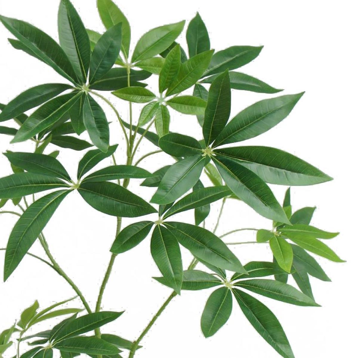 Leaf 120cm Artificial Money Tree Pachira Realistic Faux Tree in Black Plastic Pot