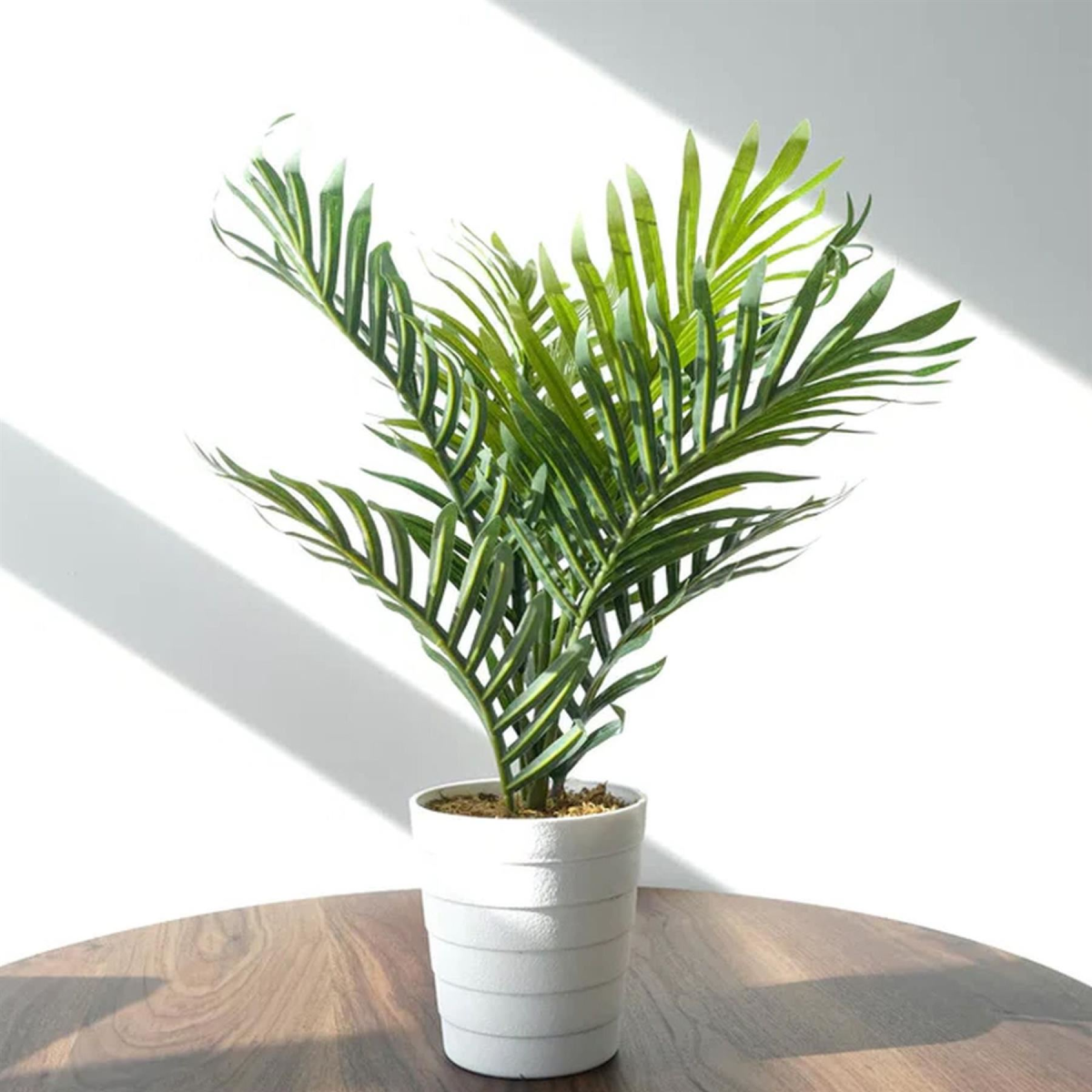 Leaf 50cm Artificial Mini Palm Tree in Pot